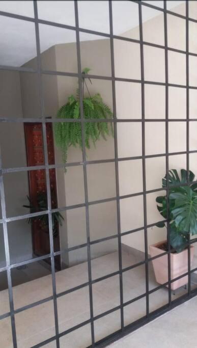 Casa de férias Casa Inteira Proxima Ao Centro / 4 Suites.